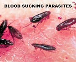 aaaaaaaaaaaaaaaaaaaaaaaaaaaaaa