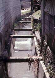 okinawa_benjo_ditch_01