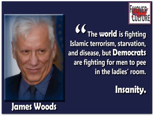 Image4-18-16at1.31PM