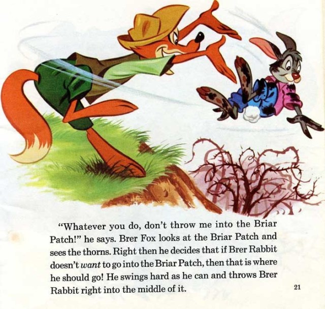 brer-rabbit-in-briar-patch