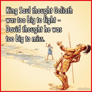 29987-david goliath.800w.tn