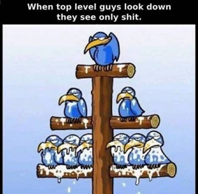 This image has an empty alt attribute; its file name is birds.jpg