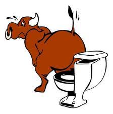 This image has an empty alt attribute; its file name is bull-shit-1.jpg