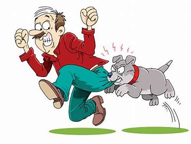 Image result for bite you int the ass