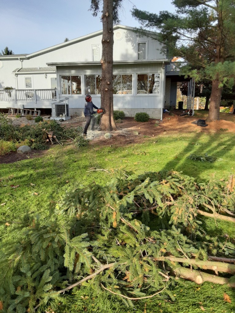 This image has an empty alt attribute; its file name is stinzy-3.jpg