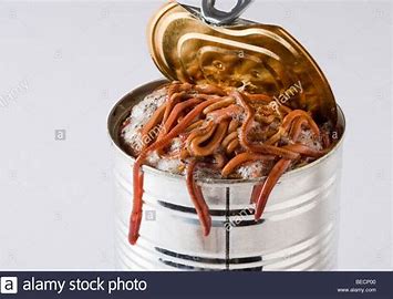 Image result for opening a can of worms