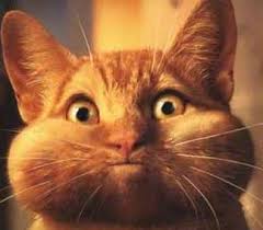 Cultural Communication: "Don't Hold Your Breath!" • American Culture  Consultants