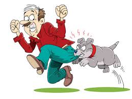 This image has an empty alt attribute; its file name is 1122.jpg