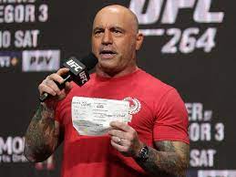 This image has an empty alt attribute; its file name is image-25.jpeg